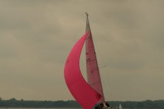 IMG_4260