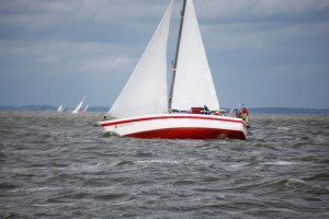 2015 - haffregatta