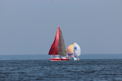 haff-sail-regatta_2_20160616_1166811693