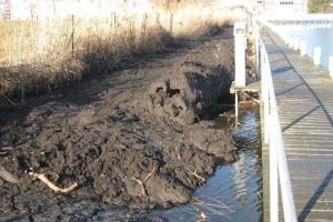 2016 - baggerarbeiten