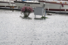 hochwasser_104_20161119_1998416246