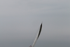 haffregatta_2017_183_20171114_1368614923
