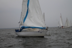 haffregatta_2017_202_20171114_2049399316