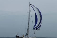 haffregatta_2017_231_20171114_1345944016