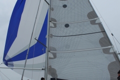 haffregatta_2017_236_20171114_1206667307
