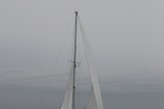 haffregatta_2017_39_20171114_1278872922