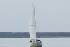 DSC_0001