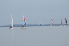 DSC_0041
