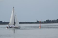 DSC_0066