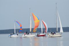 DSC_0071