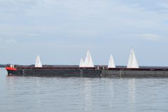 DSC_0075
