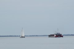 DSC_0088