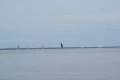 DSC_0111