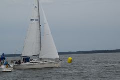 DSC_0181