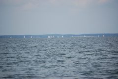 DSC_0335