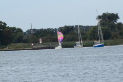 DSC_0802
