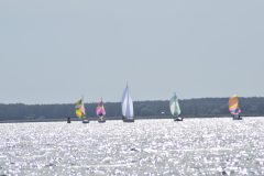 DSC_1118