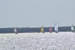 DSC_1119