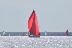 DSC_1128