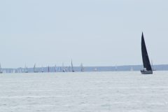 DSC_1164