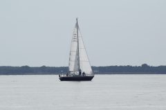 DSC_1223