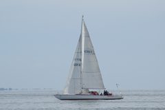 DSC_1224
