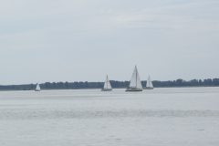DSC_1236
