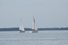 DSC_1239