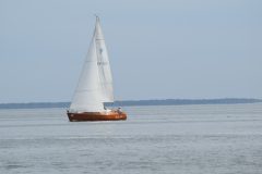 DSC_1240