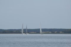 DSC_1246