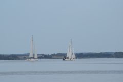 DSC_1259
