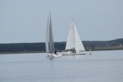DSC_1261