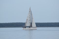 DSC_1263