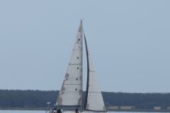 DSC_1264