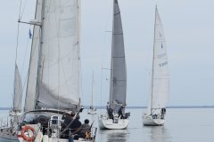 DSC_1282