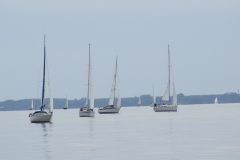 DSC_1286