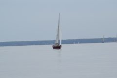 DSC_1287
