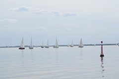 DSC_1288