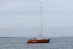 IMG_0785