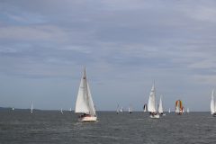 IMG_0854