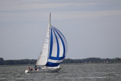 IMG_0917