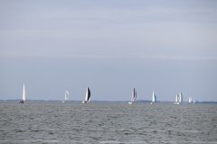 IMG_0920
