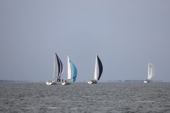 IMG_0929