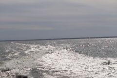 IMG_0937