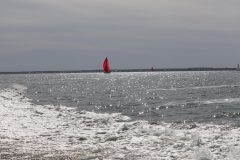 IMG_0939
