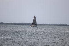 IMG_0942