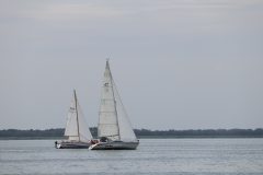 IMG_1041