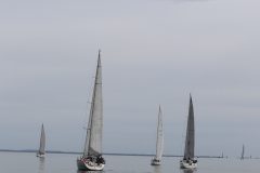 IMG_1073
