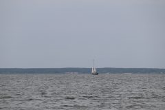 IMG_1173