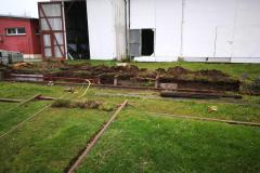 IMG_20201110_105226